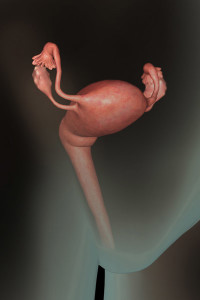 qua trinh phat trien cua thai nhi, thai nhi 1 tuan tuoi, giai doan phat trien thai nhi, thai nhi