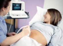 qua trinh phat trien cua thai nhi, thai nhi 2 tuan tuoi, giai doan phat trien thai nhi, thai nhi