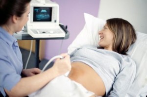 qua trinh phat trien cua thai nhi, thai nhi 2 tuan tuoi, giai doan phat trien thai nhi, thai nhi