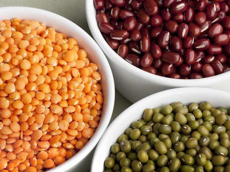 Top thực phẩm giàu chất xám cho thai nhi ngay từ trong bụng mẹ