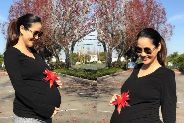 Thân Thuý Hà mang thai lần 2 